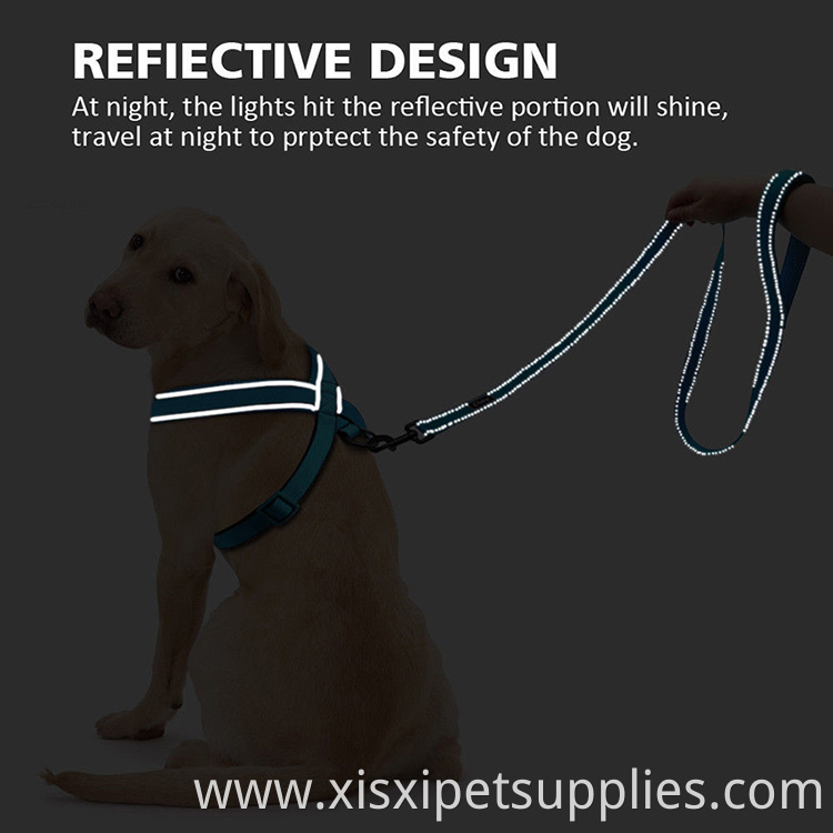 Reflective Rose Red Mesh Padded Dog Harness and Leash